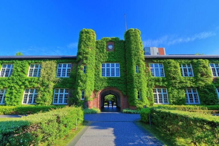 立教大学のキャンパス